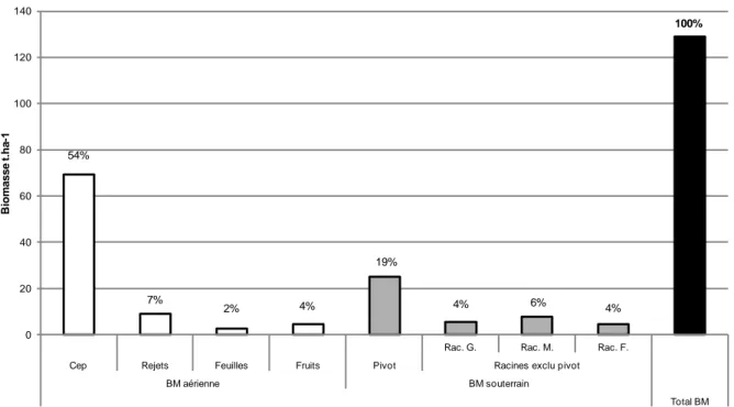 Figure  9:  Répartition  de  la  biomasse  des  différents  compartiments  du  caféier  (t MS   ha -1 )