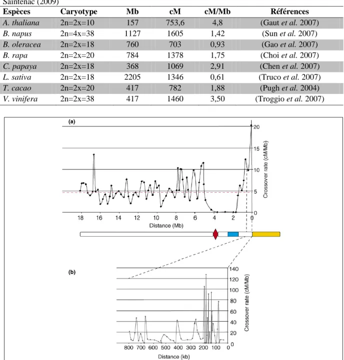 Tableau  2.  Fréquence  de  recombinaison  en  cM/Mb  pour  quelques  espèces  de  plantes  d’après  Saintenac (2009) 