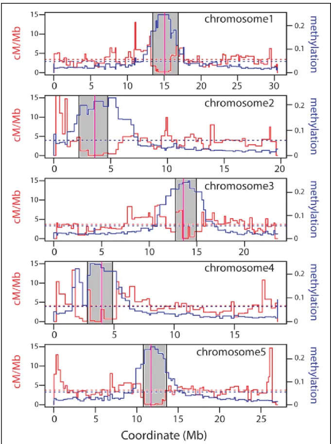 Figure 10. Distribution des évènements de recombinaison (rouge) et de la teneur en 5’-méthtlcytosine  (bleu)  sur  les  cinq  chromosomes  d’Arabidopsis  thaliana  par  Yelina  et  al