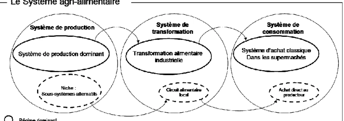 Figure 2 : Schéma théorique du système agri-alimentaire, adapté de Darnhofer (2011). 