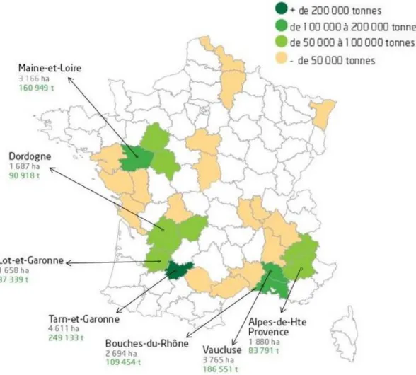 Figure  1  : Répartition de la production française de pommes à couteau en 2013  (FranceAgrimer, 2014)