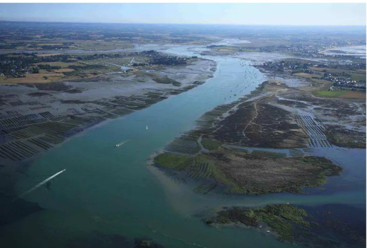 Figure 4 Photographie de l'estuaire de la rivière de Pénerf ( © David Ledan-SIAGM) 
