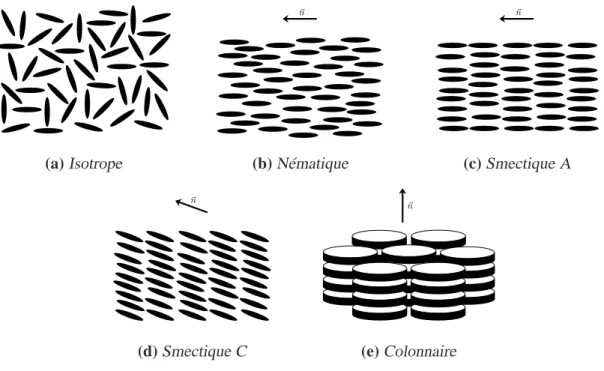 Figure 2.4 – Quelques types de phases adoptées par les cristaux liquides