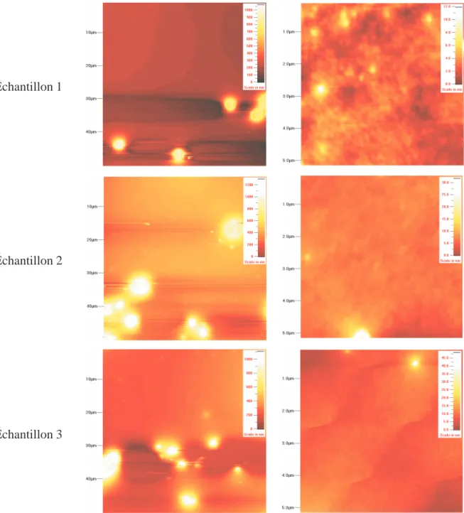 Figure 4.11 – Profils AFM des couches de CD-802 avec nanoparticules de MnFe 2 O 4 , pré- pré-parées sans champ magnétique