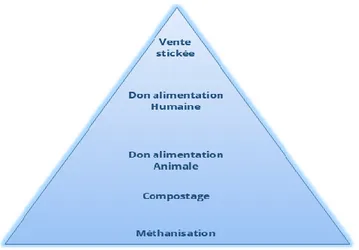 Figure 4 - Pyramide du recyclage (D'après PHENIX) 