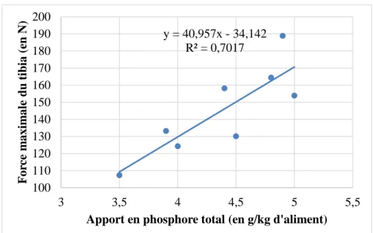 Figure 6 : Relation entre l’apport de phosphore total et la force maximale du tibia pour des  poulets de souche Ross PM3 de 23 jours (Source : Altilis, 2012) 