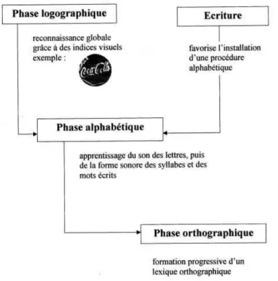 Figure 2 : Le modèle de lecture de Frith (1985)                                                     http://www.ac-grenoble.fr/ecole/74/maternelle74/spip.php?article31