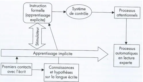 Figure 4 : Le modèle d’apprentissage de la lecture adapté de Gombert (2003)                           In L’apprentissage de la lecture et ses difficultés