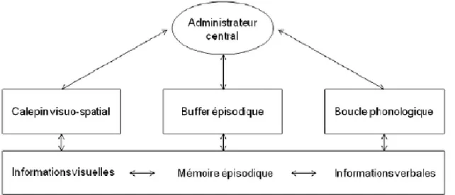 Figure 5 : Le modèle de Baddeley (1986)                                                           http://theses.univ-lyon2.fr/documents/getpart.php?id=lyon2.2011.ranchetm&amp;part=331999 .