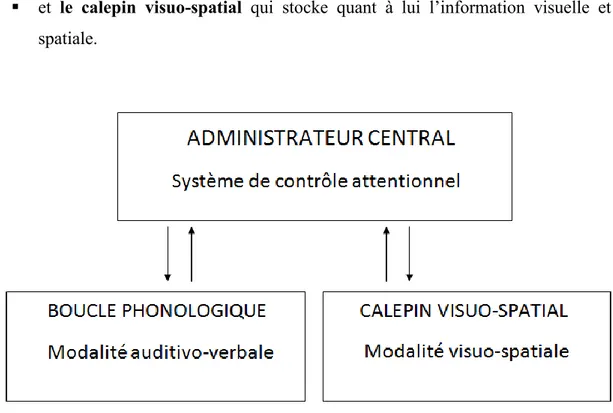 Figure 3. : Modèle de la mémoire de travail de Baddeley et Hitch 1974 (in Aubin et coll., 2007)