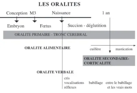 Figure n°2 : Les oralités (Thibault, 2017) 
