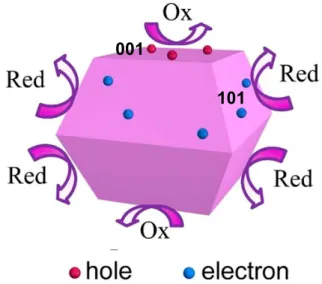 Figure 2.15. Schematic of the spatial separation of redox sites on anatase crystals with {101} and  {001} facets