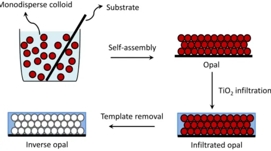 Figure 2.17. Schematics of the fabrication procedure of a TiO 2  inverse opal. 