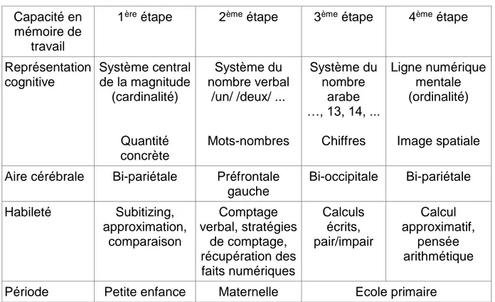 Tableau n°1 : Les quatre étapes du modèle de Von Aster et Shalev (2007)  Capacité en 