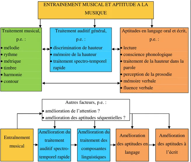 Figure  9 :  Relations  supposées  entre  entraînement  musical,  traitement  auditif  et  aptitudes  en  langage oral et écrit (d’après Overy, 2003, et Tallal et coll., 2006)