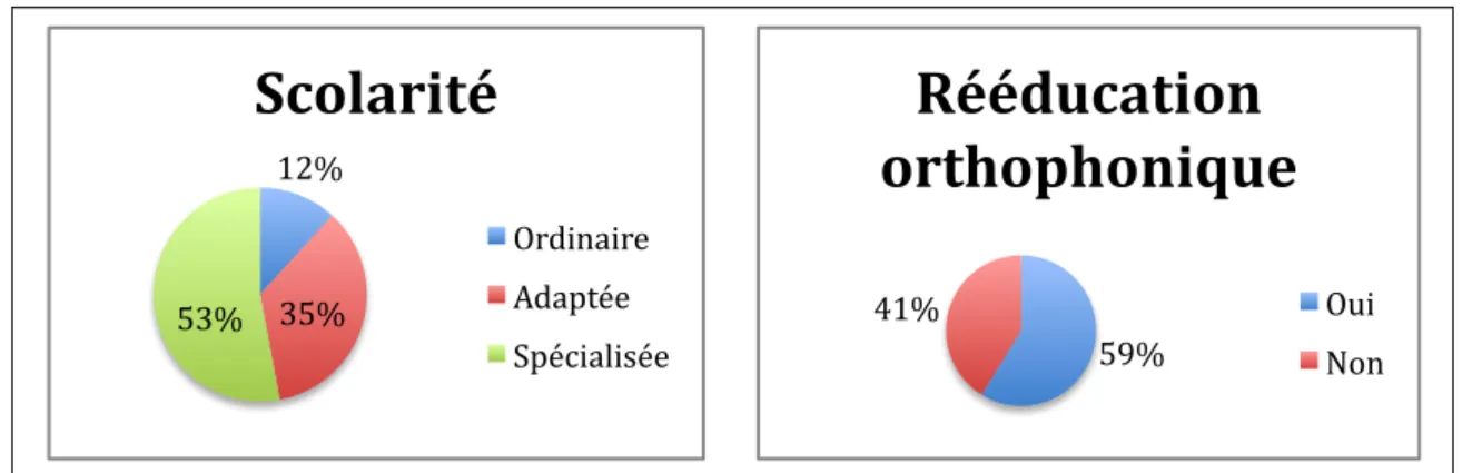 Figure 10 : Scolarité et rééducation orthophonique du groupe traumatique en 2016  d.  Comparaisons 