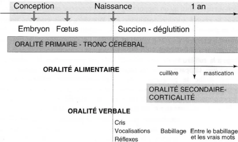 Figure 1 : Oralité primaire et oralité secondaire (Thibault, 2007)