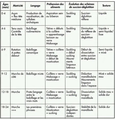 Tableau 1 : Evolution motrice et fonctionnelle pour l’alimentation, la déglutition, le langage et la  motricité entre 0 et 24 mois (d’après Tapin, 2001 ; Puech, 2005 et Thibault, 2007) 