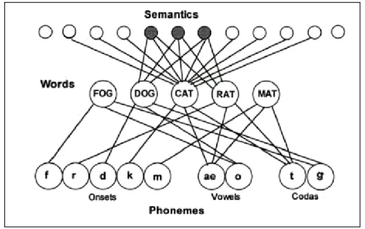 Figure 7 : Modèle à activation interactive en cascade de Dell (Dell et coll., 1997)   (les traits sémantiques communs entre CAT (chat), DOG (chien) et RAT (rat) apparaissent  en grisé) 