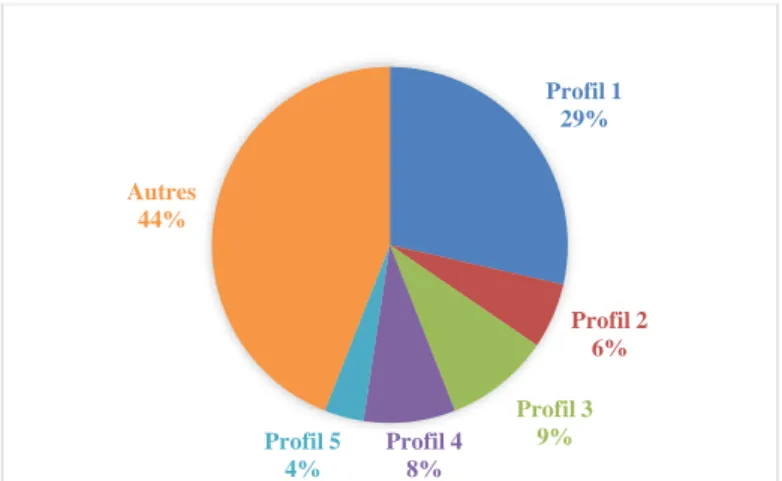 Graphique 16 : Répartition de la population par profils Profil 129%Profil 26%Profil 3Profil 49%8%Profil 54%Autres44%