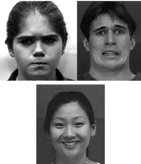 Figure 3 : exemples de visages - colère, peur et joie  2.2.2  Rééducation de la reconnaissance des émotions dans la prosodie 