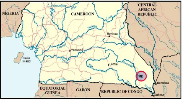 Figure 7 : Carte du Cameroun et de la région autour du village de Mambélé. 