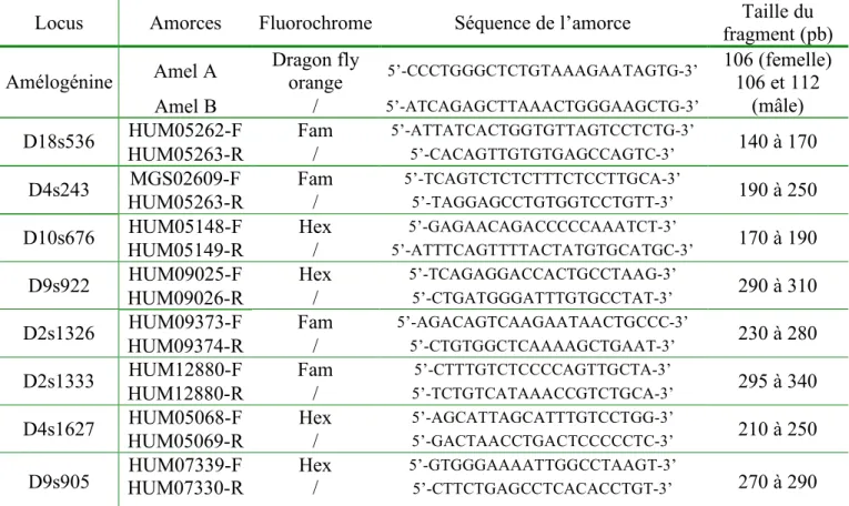 Tableau 3 : Liste des amorces de génotypage par locus. 