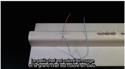 Figure 15 : capture d’écran de la vidéo avec ses sous-titres. 