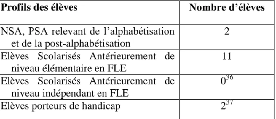 Tableau 2 : Profil des élèves accueillis en cours de FLE en 2019-2020 à l’EREA Pierre Rabhi 