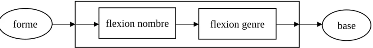 Figure 11 : Extrait du schéma d’ordre d’apparition des flexions concernant l’adjectif (Lallich-Boidin, 1987,  p