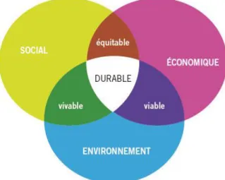 Figure 1 - Les trois piliers du développement durable (2) 