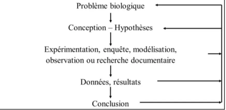 Figure 1 : Les étapes d'une démarche d'investigation 