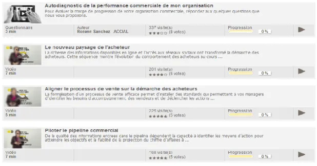 Figure 10 : capture d’écran du sommaire des cours du site bpifrance-universite.fr 