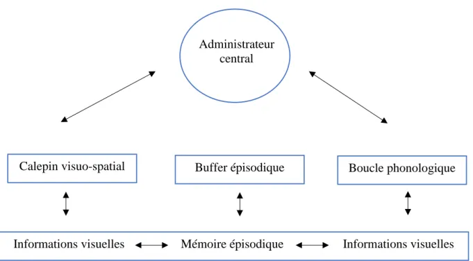 Figure 6 : Schéma du modèle de la mémoire de travail selon Baddeley (2000)