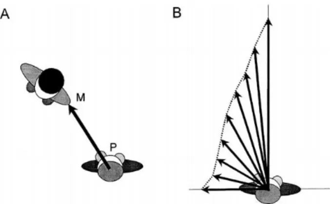 Figure  6  :  Evolution  de  la  MPD  au  cours  de  l'interaction. 