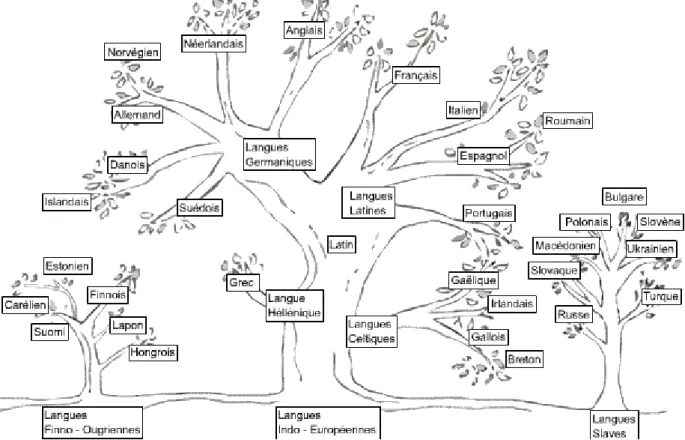 Figure 2. L'arbre des langues 9