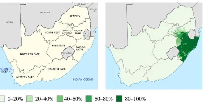 Figure 2 : Proportion de locuteurs du zoulou-L1 en Afrique du Sud (Wikipedia, 2016 ;  Statssa, 2011) 