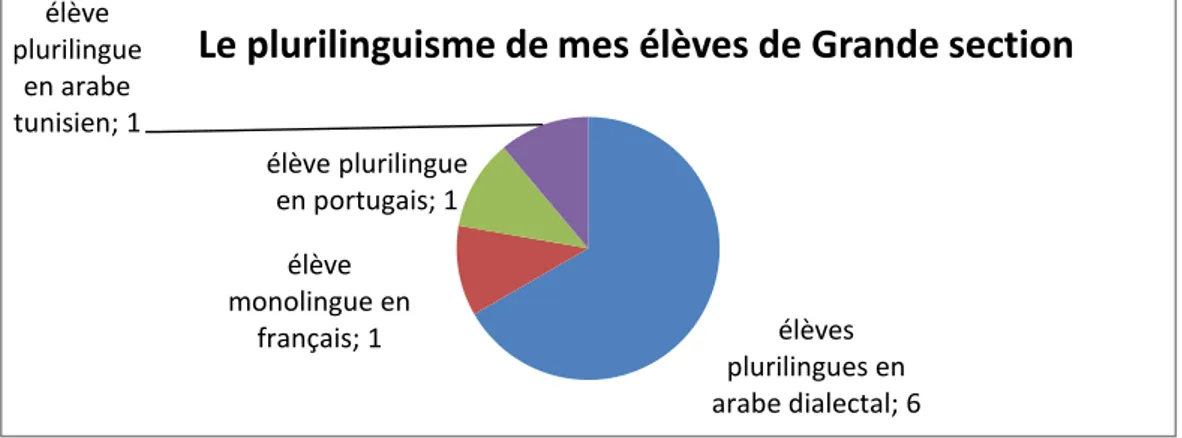 Figure 2: Graphique représentant les langues familiales des élèves 