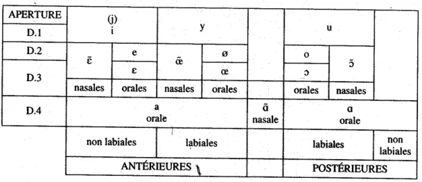 Tableau 2 : les phonèmes vocaliques du français (Argod-Dutard, 1996, p.64) 