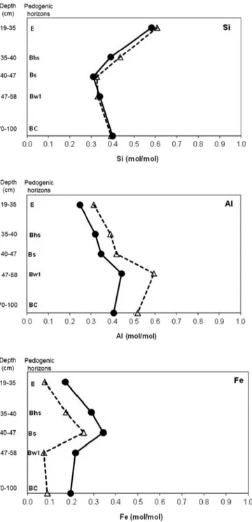 Fig. 4 plots the EDS Si, Fe, Al and C peak intensities against each other for the Bhs and Bw1 clay fractions both treated and not treated with NaOCl