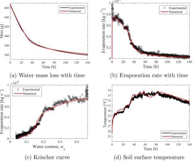 Fig. 8. Map of water saturated permeability (a) and of the degree of saturation (b) within the sample at time t = 66 h.