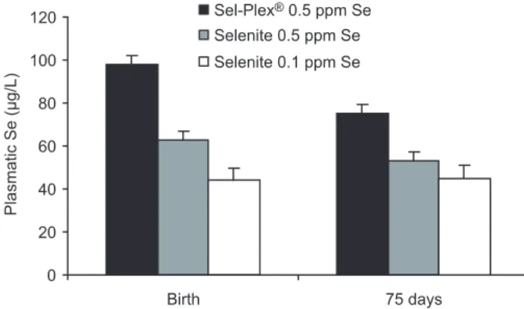 Figure 5. Effect on plasma selenium of calves of selenium level and source fed the dam.