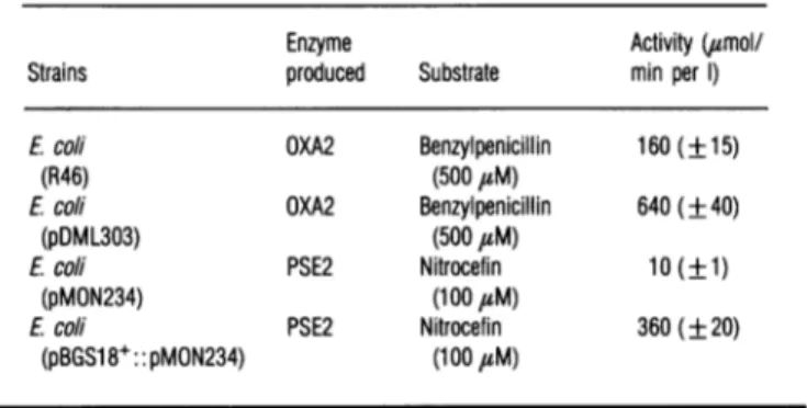 Table 2 PurIficaton of the OXA2 -lactamase