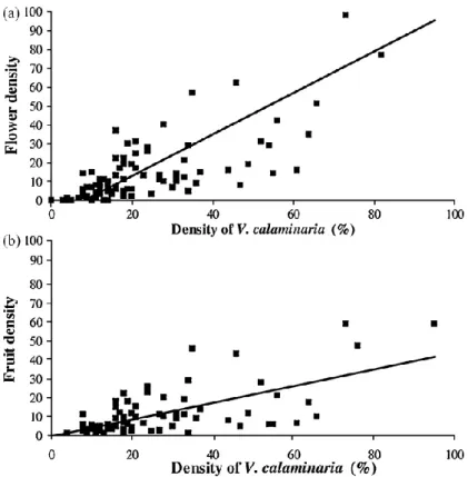 Fig. 3. Correlation between (a)  Viola calaminaria  density and flower density; (b)  Viola calaminaria density and fruit density