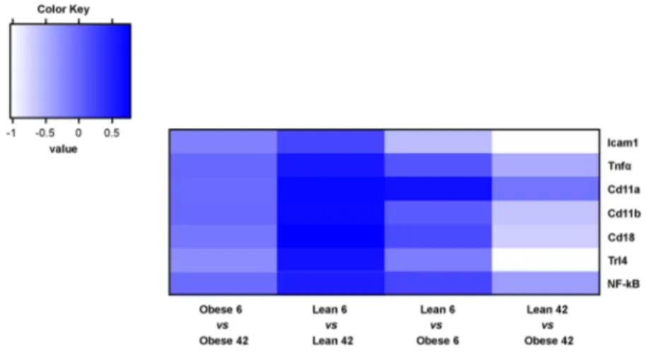 Figure 9.  Heat map displaying fold changes for genes indicated. The colors are ranging from white (−1 &lt;= 