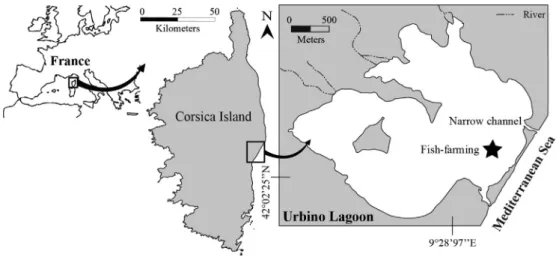 Fig. 1. Location of Urbino lagoon (Corsica, France).