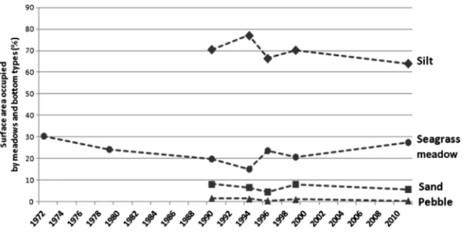 Fig. 5. Spatial evolution of seagrass meadows in Urbino lagoon, between 1973 and 2011.