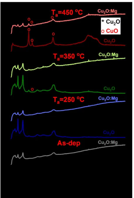 Figure 2 Raman spectra of the undoped and Mg-doped Cu2O thin films deposited on glass corresponding to  the as-deposited and annealed samples (250, 350 and 450°C)