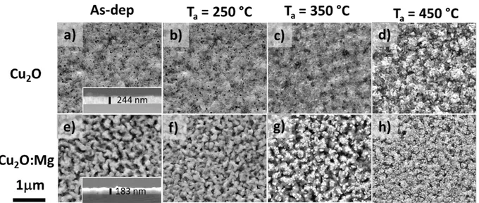 Figure 3 SEM micrographs of Cu 2 O and Cu 2 O:Mg thin films. Top views of as-deposited film with cross- cross-section in inset: Cu 2 O in a) and Cu 2 O:Mg in e)