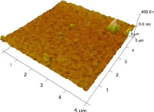 Figure 13 AFM (Atomic Force Microscope) pictures of the silver layer deposited using electroless technique